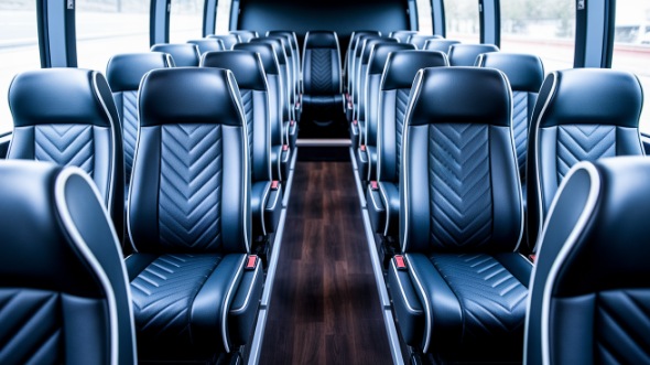 st louis 15 passenger minibus rental