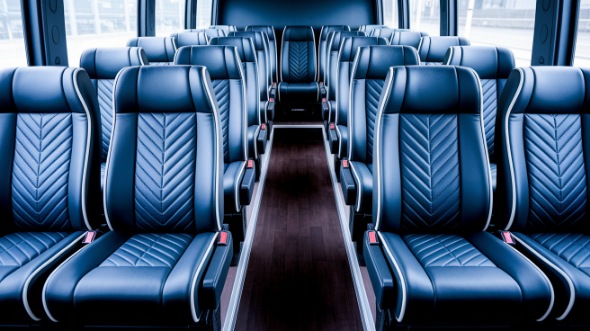 st louis 28 passenger minibus rental