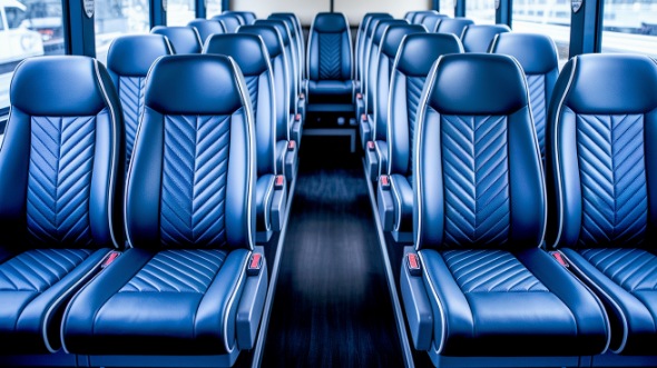st louis 30 passenger minibus rental